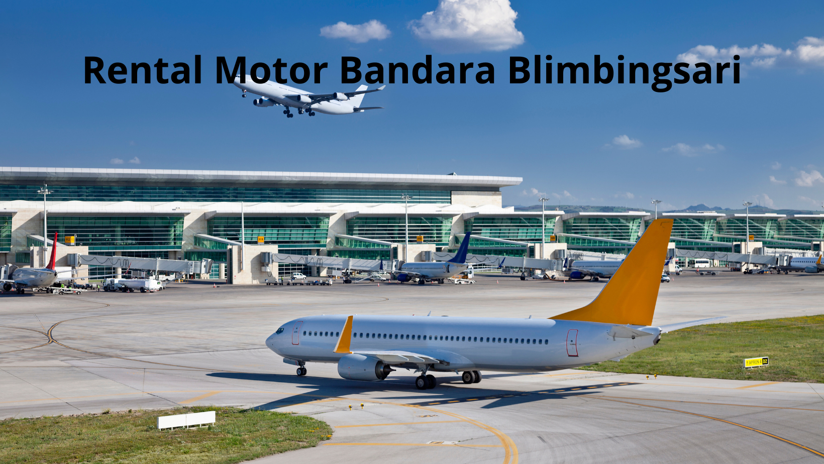 rental motor bandara blimbingsari